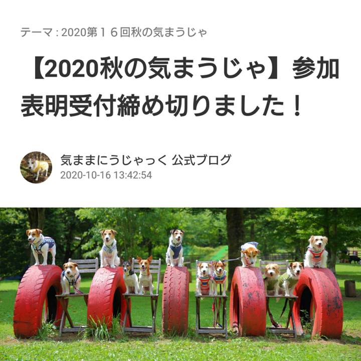 Fd0f25af 21d5 4b0d a859 4a445fea0ea8 1602830312481