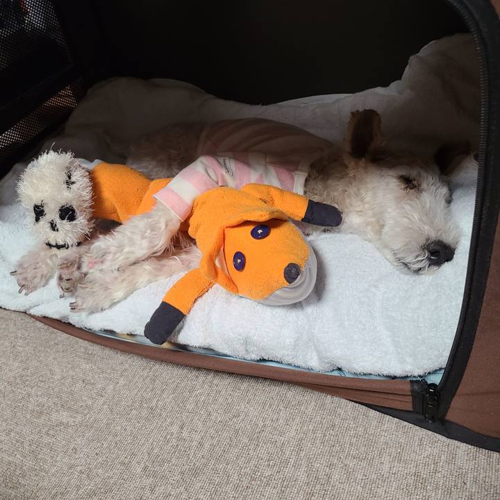 Fd0f6c77 4822 4861 9132 427f56743dcb 1698675656251