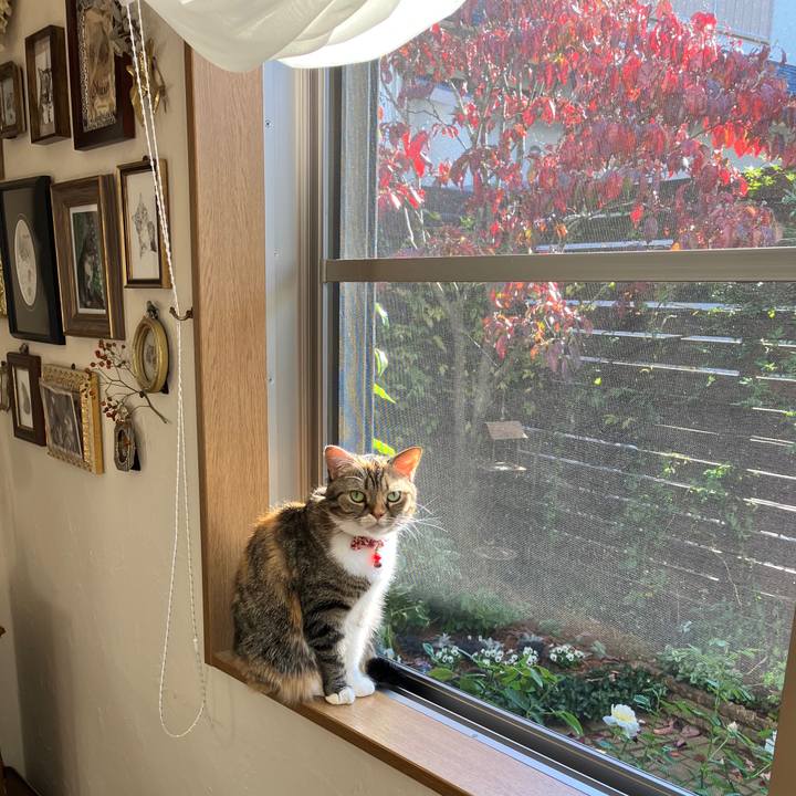 Fd0fbb76 4ff2 4306 938d 9a3943c64e71 1764131468224