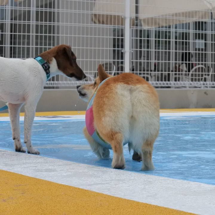 Fd0fed1b 97c9 4596 90e7 1aad16ecf7ae 1592224977485