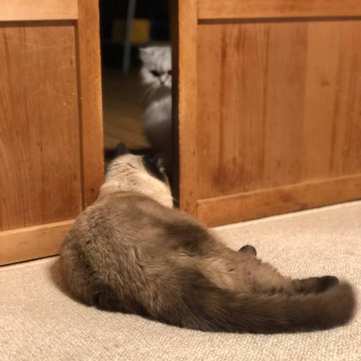 Fd0ff92a a455 4ee3 850c 6fea716a2b5d 1622851850587