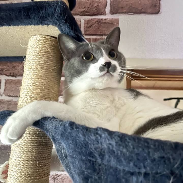 Fd1024d9 c91d 448c 947a ae2dd1696a91 1665610260036