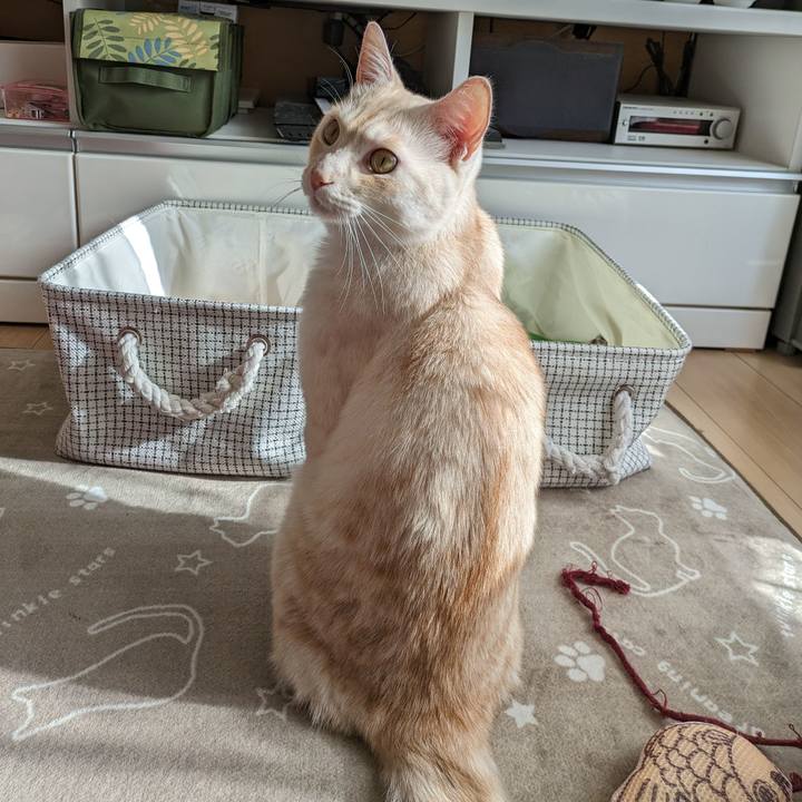 Fd102ee2 b17d 4474 8506 6e8458a76b53 1702045264425