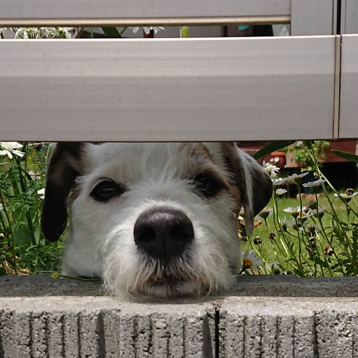 Fd1041ee b3e9 4589 b5c5 d7762d686d3e 1526598995004