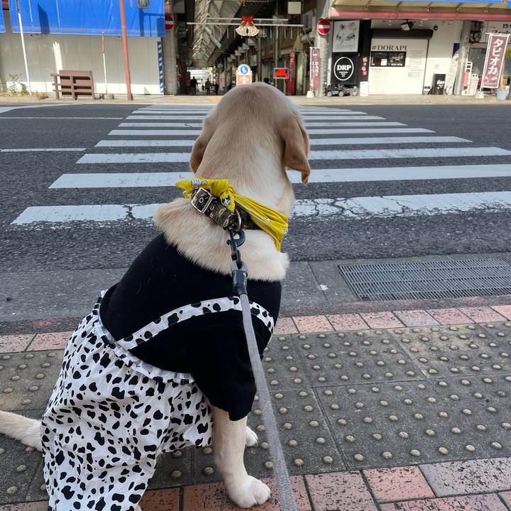 Fd105097 5c15 48b8 a029 5615a81f25c9 1643439377480