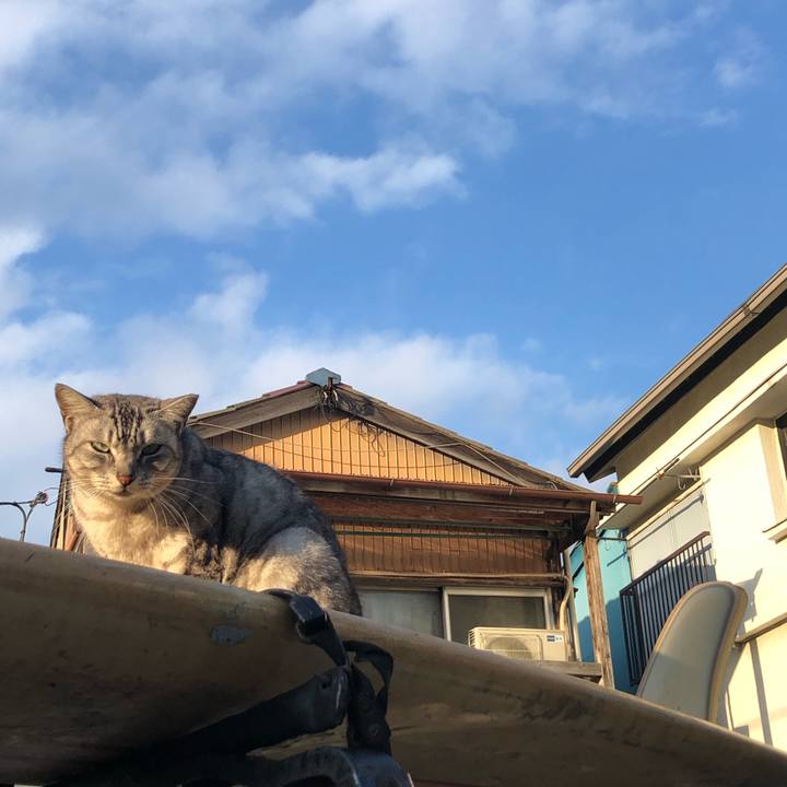 Fd106114 d15c 4cbf be1d 62ff51865789 1580741866885