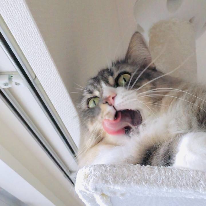 Fd10c1cf 695c 48e4 8e22 7a3d0822d6fc 1569370731768