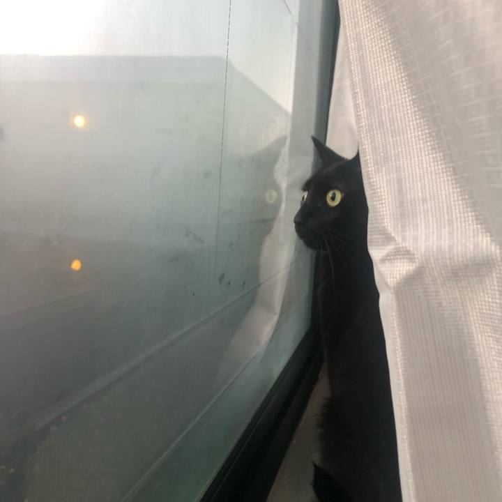 Fd10da44 6cd9 4ded 8a63 f5e966082321 1605486733555