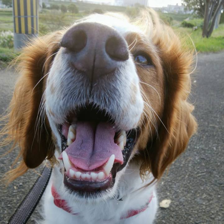 Fd10efba d9a4 4d18 aef9 16702ee3680b 1539776000019