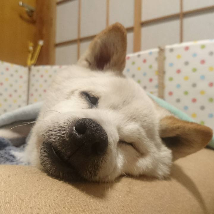 Fd11535d 63af 435a aff4 6eaf73e6e542 1523719565800