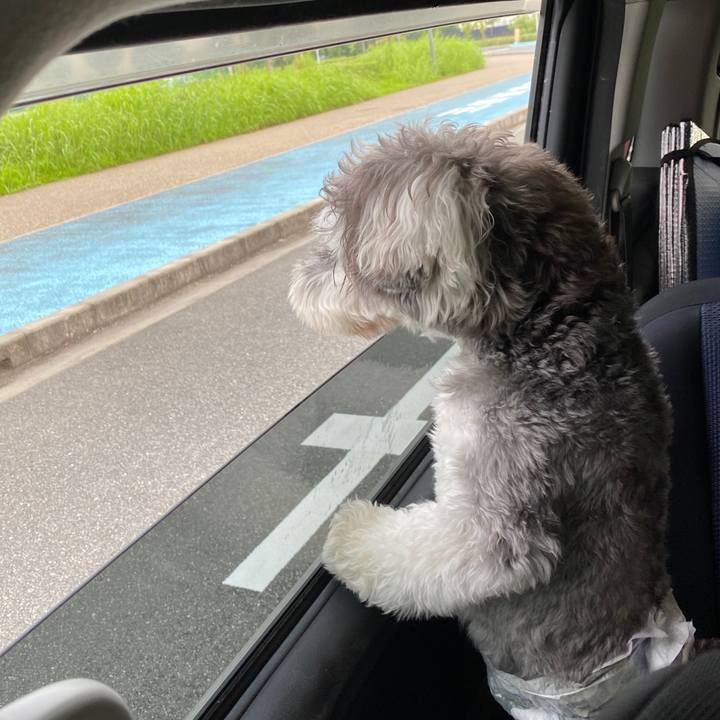 Fd117ffc 3c4c 43f0 998e ba1181df6329 1596861197445