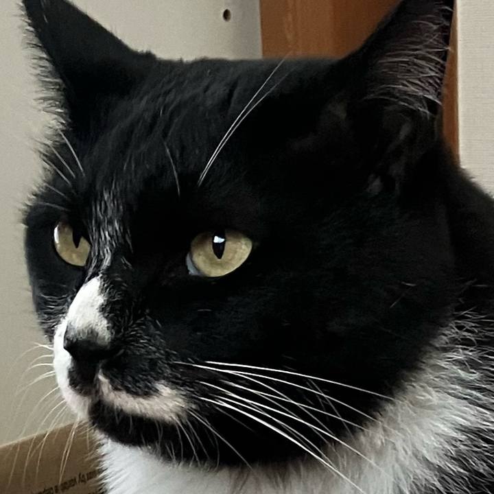 Fd11d1a8 846d 45b5 bc29 cebae7bb2bac 1763176230387