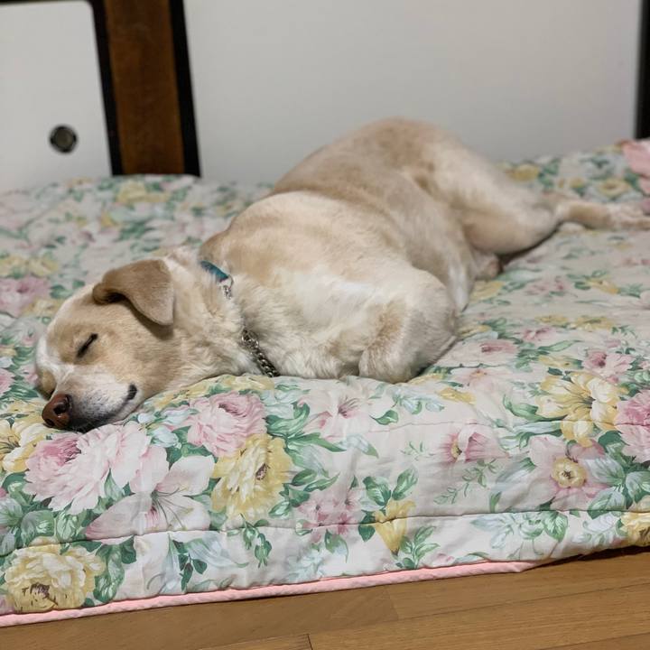 Fd126196 84ea 47e7 b55f c063aadb8633 1556882221397