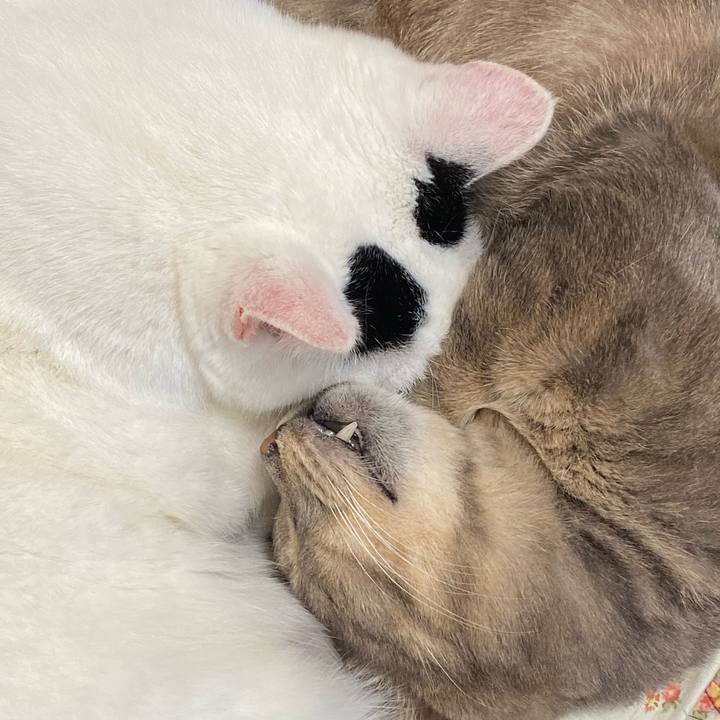 Fd126d58 47ca 441c 9c75 75beffae5848 1576629009979