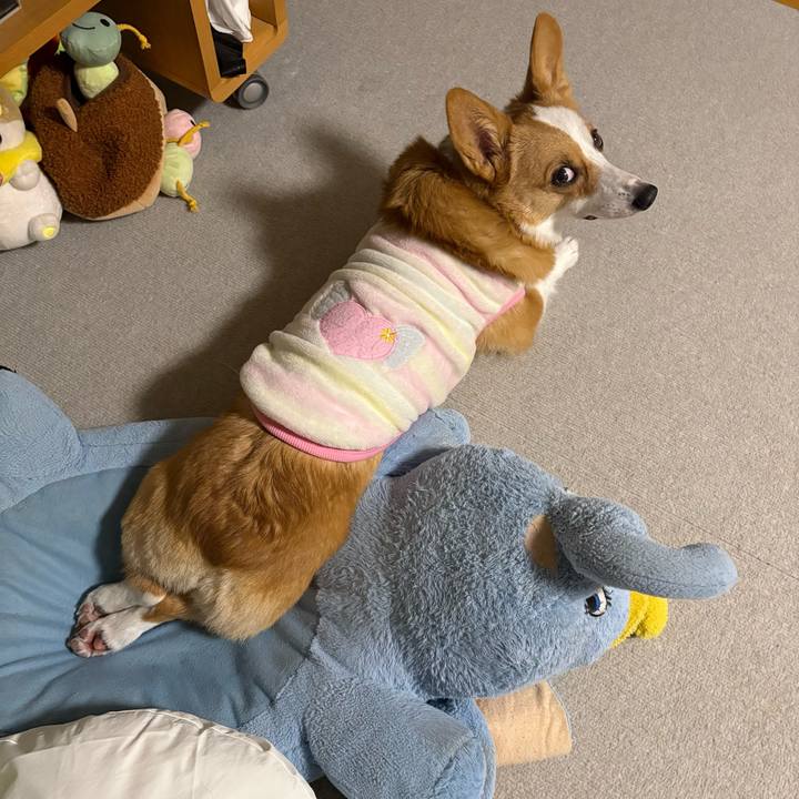 Fd12803f ffe4 44f0 b09c 670837bfe7b7 1767450594458