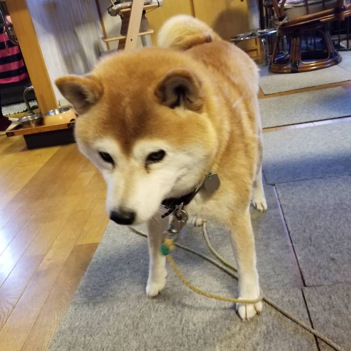 Fd1284f5 e827 424a 8229 61fed71f3179 1641539589857