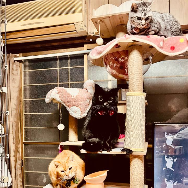 Fd1299be 2f9c 4cba 8158 0e8e4f73e19f 1764878838105