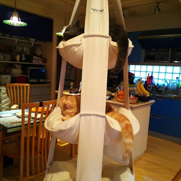 Fd12f3b3 816a 466f a48f cb0817c906b5 1512019798719