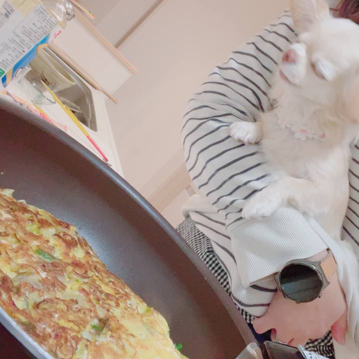 Fd131725 5505 4110 9d09 d5b5bf1d4a83 1701261656225