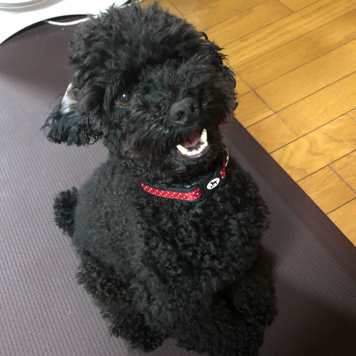 Fd131910 bf37 4231 bdba 3265b6bef4f1 1566514020739