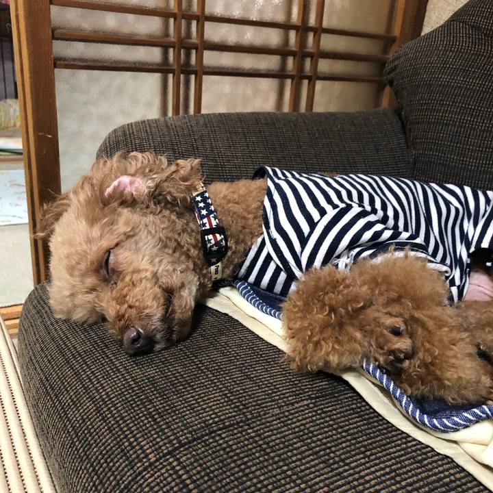 Fd133a69 926a 426b ac69 c617293186be 1621243900177