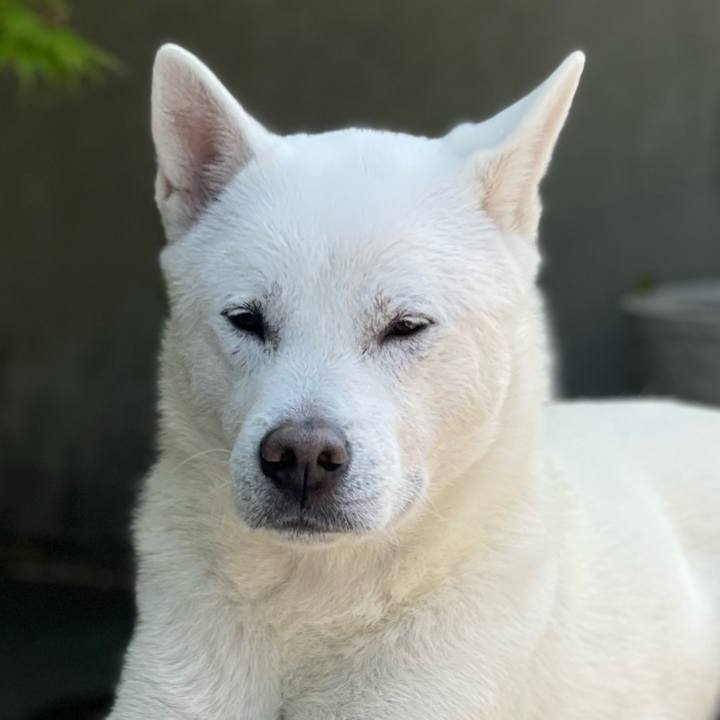 Fd136f91 cf2c 42b9 bb4d a96295fc4d9f 1680401249997