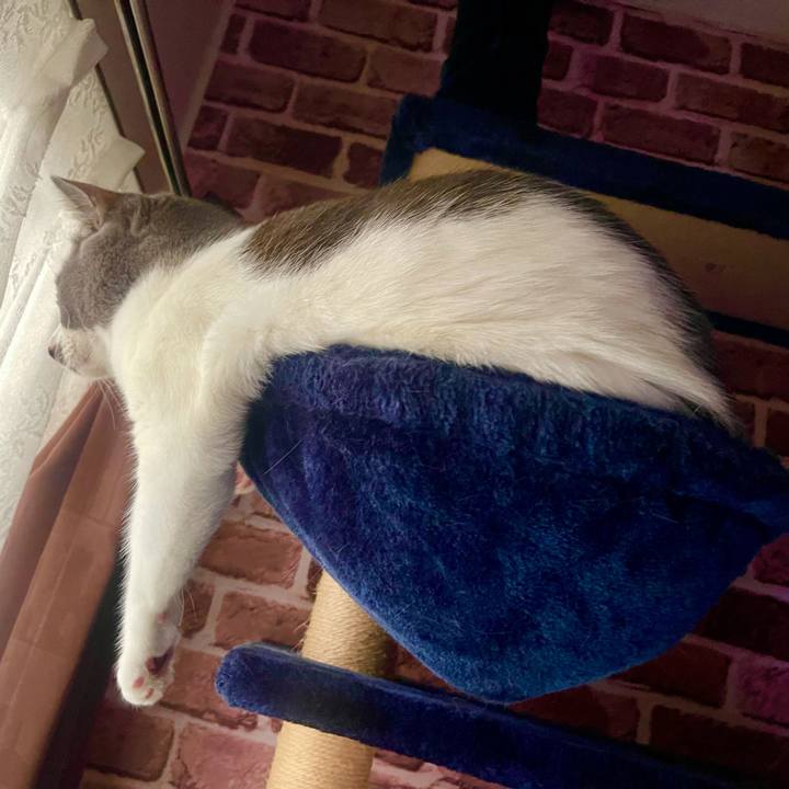 Fd1387da 0c3a 4d29 97a5 3ab9edaae4ff 1630961114850