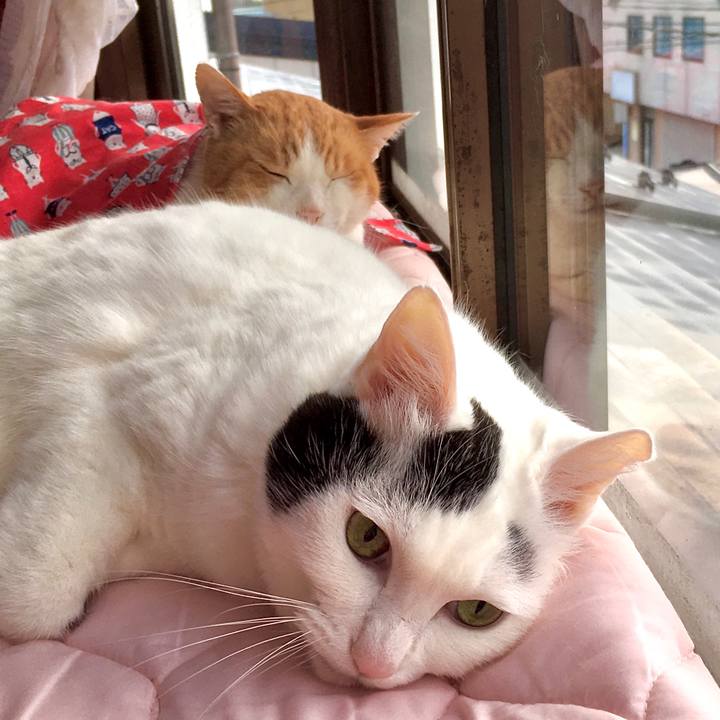 Fd13a7b2 1f26 4cc9 9684 1799b311f7ab 1579932084514