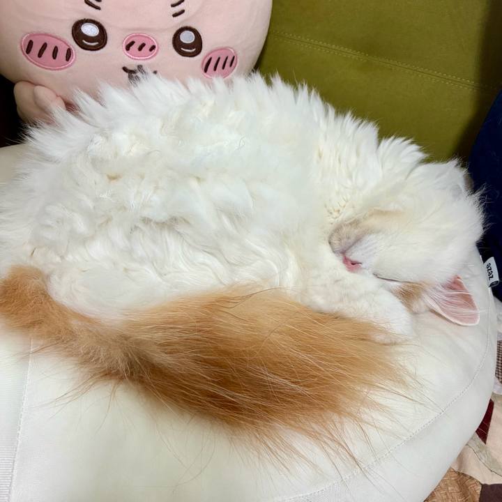 Fd13b801 2afa 4ac6 ab7f 41b767a2cd6f 1761279062546