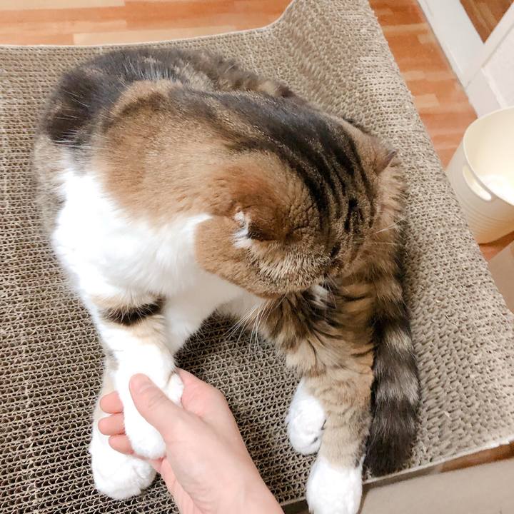 Fd13c7ac e0be 43dd 93aa 13b227275309 1568295891981