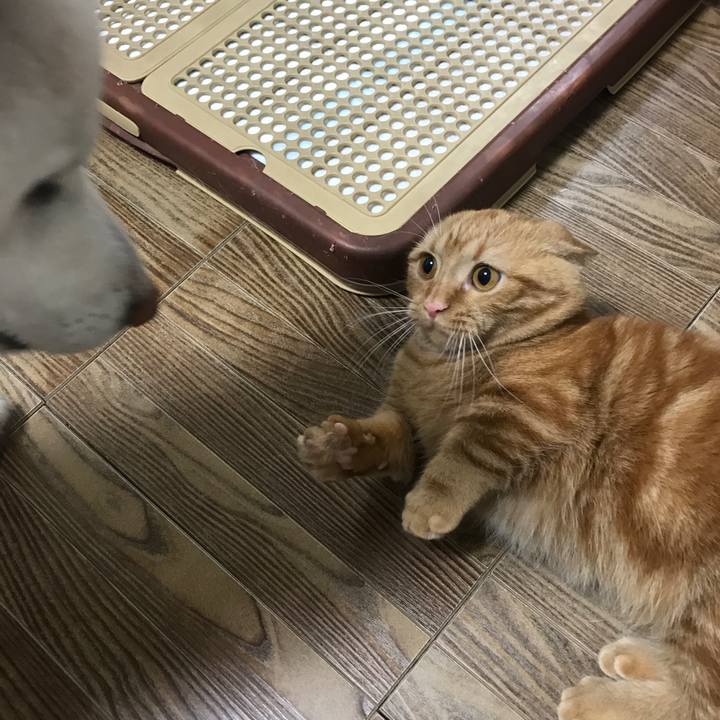 Fd13cf57 380d 40ae bd75 e0323c7509ef 1514722047555