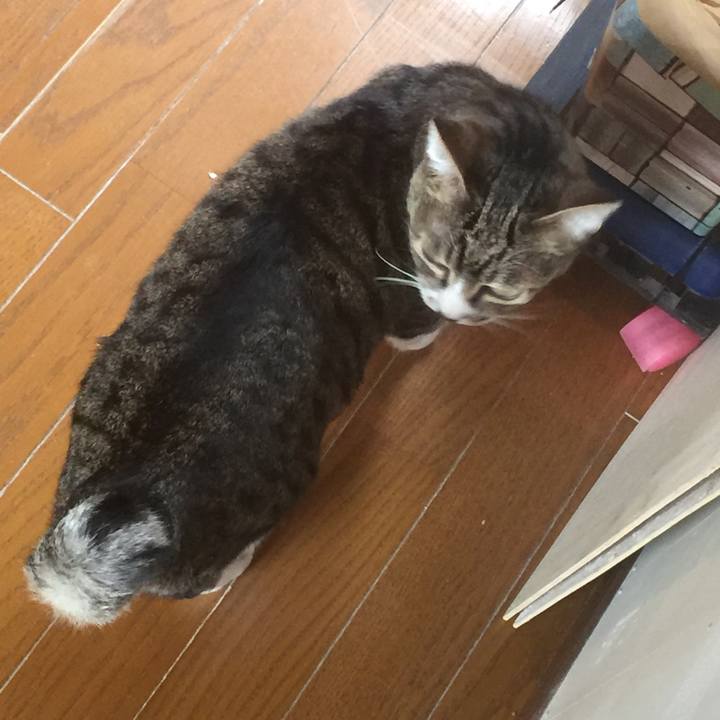 Fd13e23f d111 4830 bc26 e4d0f3e0f0fb 1556679864146