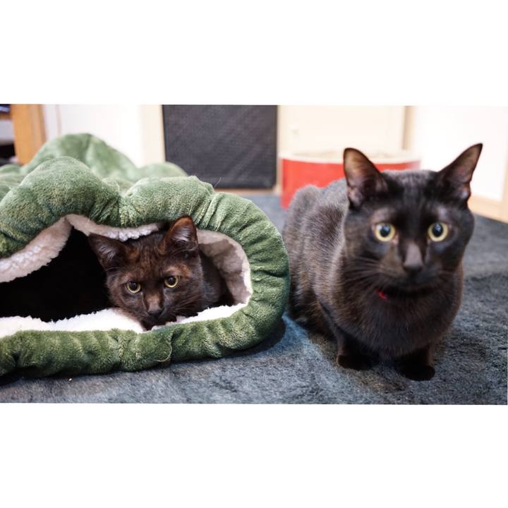 Fd13e9c8 5a18 4f07 8422 61c6bba4159d 1511053160240