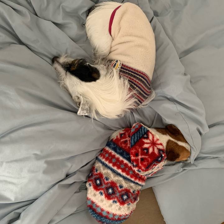 Fd14003a b5d7 4e77 9bbd f5546f1a2e46 1574900408788