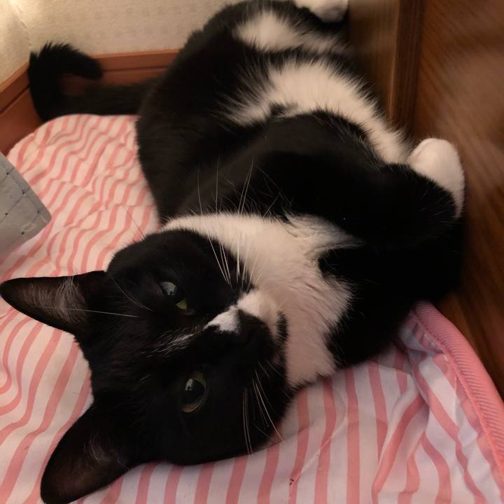 Fd14105e 5b3d 44b1 a144 904bc4e1164b 1532471234383