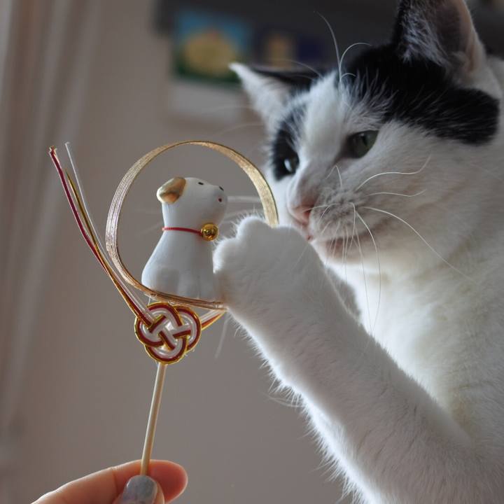 Fd143a0f b54f 4af0 9a65 6e1e9c20b961 1514879438931