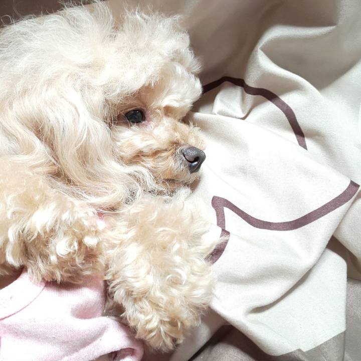 Fd145a64 cdd1 4a81 89e4 4e97615ec9dd 1587560518440