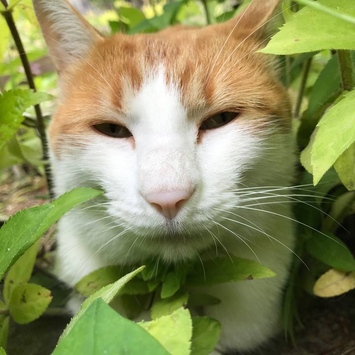 Fd145c25 a12a 4fcf 80fc 08e63df811e5 1529122439609