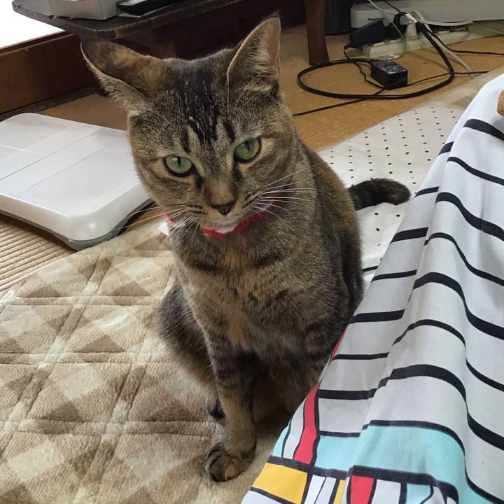 Fd14abfb 4ef1 4241 a0cc e7d58105f577 1604709331323