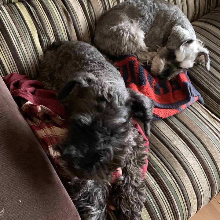 Fd14acaa 70fa 4009 a0a7 f0205dc3d1bb 1646968021527