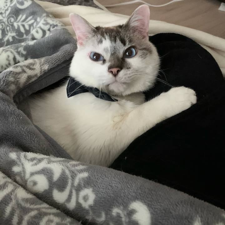 Fd14c30e 8de2 453c 8335 ab9929953bee 1586658735787