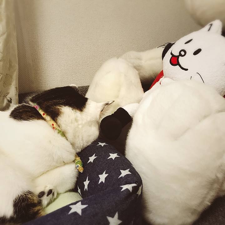 Fd14ffac 8580 4e1b 9803 7e24f87ca4e1 1507861095271