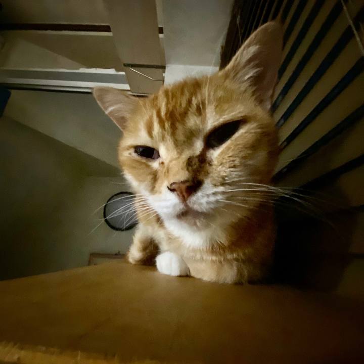 Fd150a9a 7172 4dce 839e 06fb4c1f17cd 1601819411009