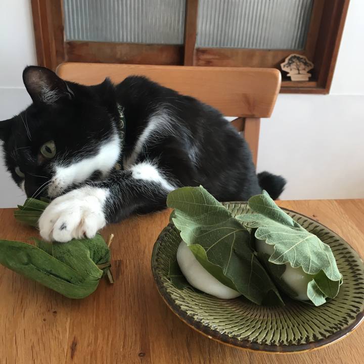 Fd152095 ded6 4144 b0be 2b5a3473cd77 1525474287074