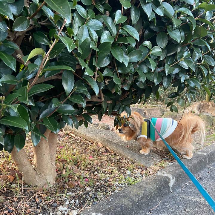 Fd15236d 42f9 43c3 9a8f 191db7a8fbde 1613773647763