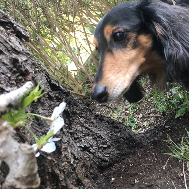 Fd156652 23d6 476b 98a0 25e9f552d613 1584878316422