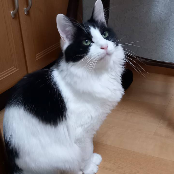 Fd15c944 df0d 4cd7 85fa 1e7873be290e 1615582330670