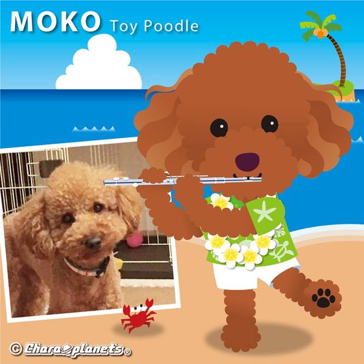 Fd15cddf 08dd 4e47 ad9b cc39b5ce0827 1566428467433