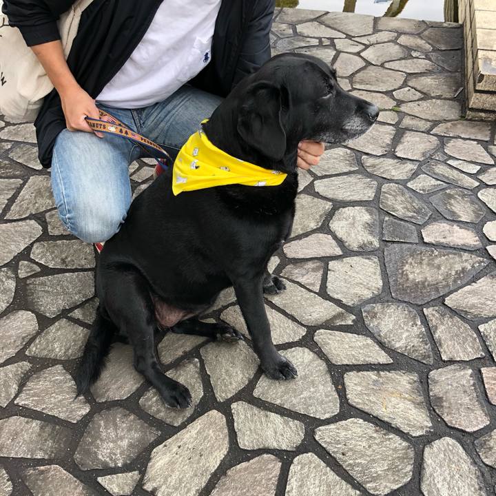 Fd1602bd e05d 4865 b26f a606251c400e 1560050546872