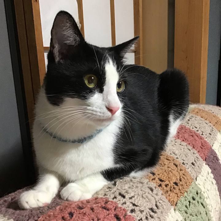 Fd162858 d786 4752 b6fd 9862a845097c 1662725165804